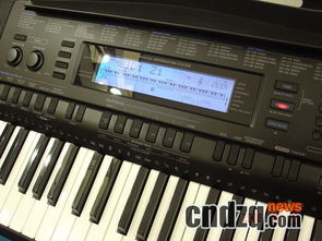 Casio新款電子琴蓄勢待發，官方圖片率先曝光